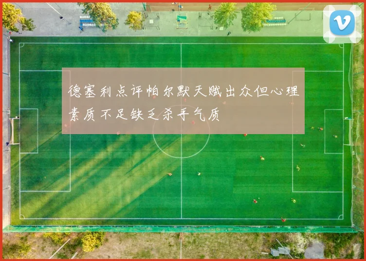 德塞利点评帕尔默天赋出众但心理素质不足缺乏杀手气质