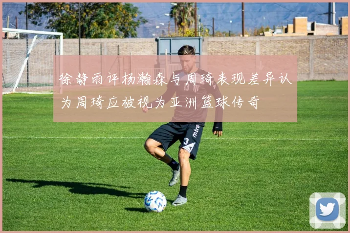 徐静雨评杨瀚森与周琦表现差异认为周琦应被视为亚洲篮球传奇